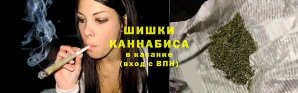 кокс Богородицк