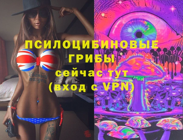 эйфоретик Богородск