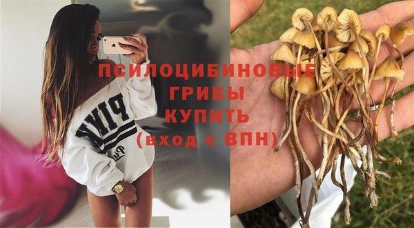 эйфоретик Богородск