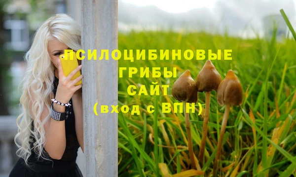 PSILOCYBIN Богданович