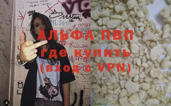 индика Верхний Тагил